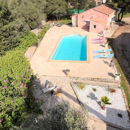 Villa Conception Le Thoronet Εξωτερικό φωτογραφία